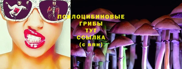 шишки Няндома