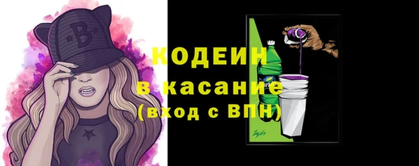 шишки Няндома