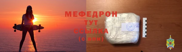 шишки Няндома