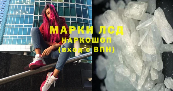 шишки Няндома