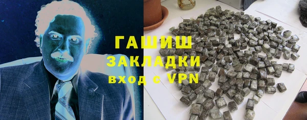 шишки Няндома