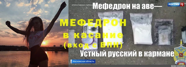 шишки Няндома