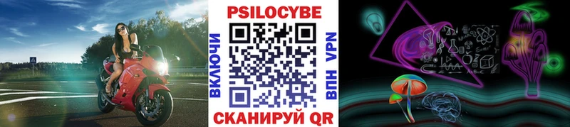 Псилоцибиновые грибы Magic Shrooms  цена   Ужур 